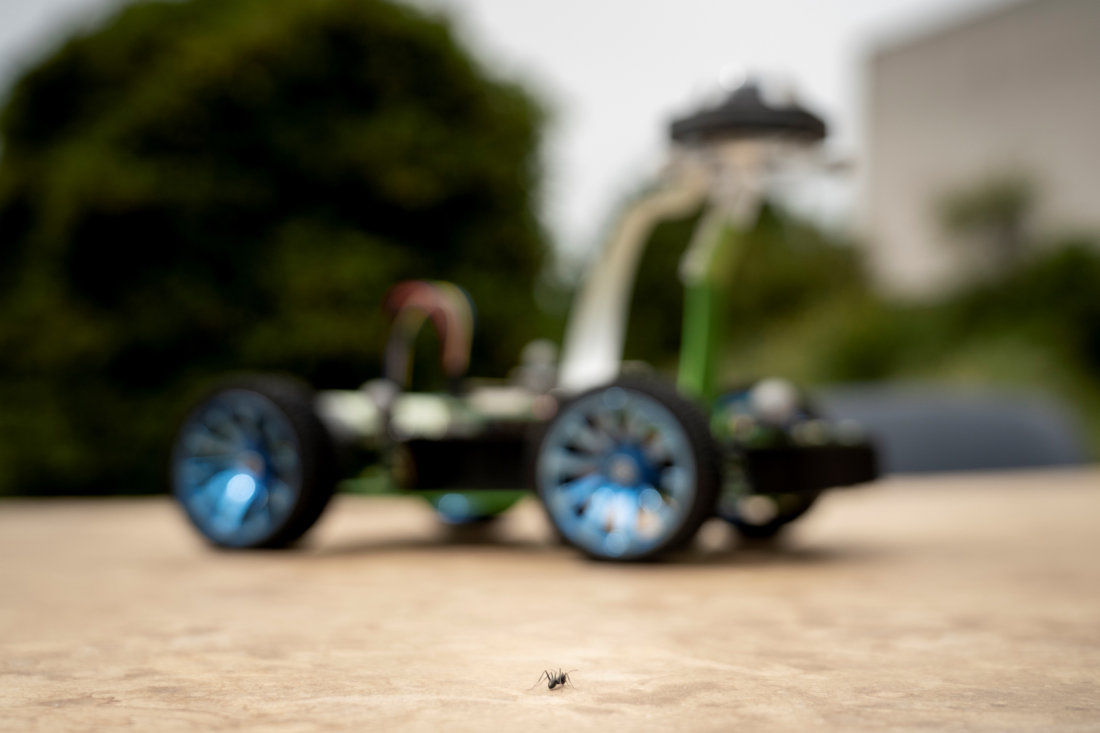 Antcar